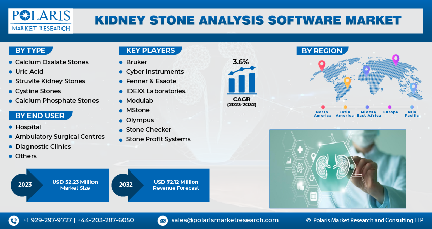 Kidney Stone Analysis Software Market Size